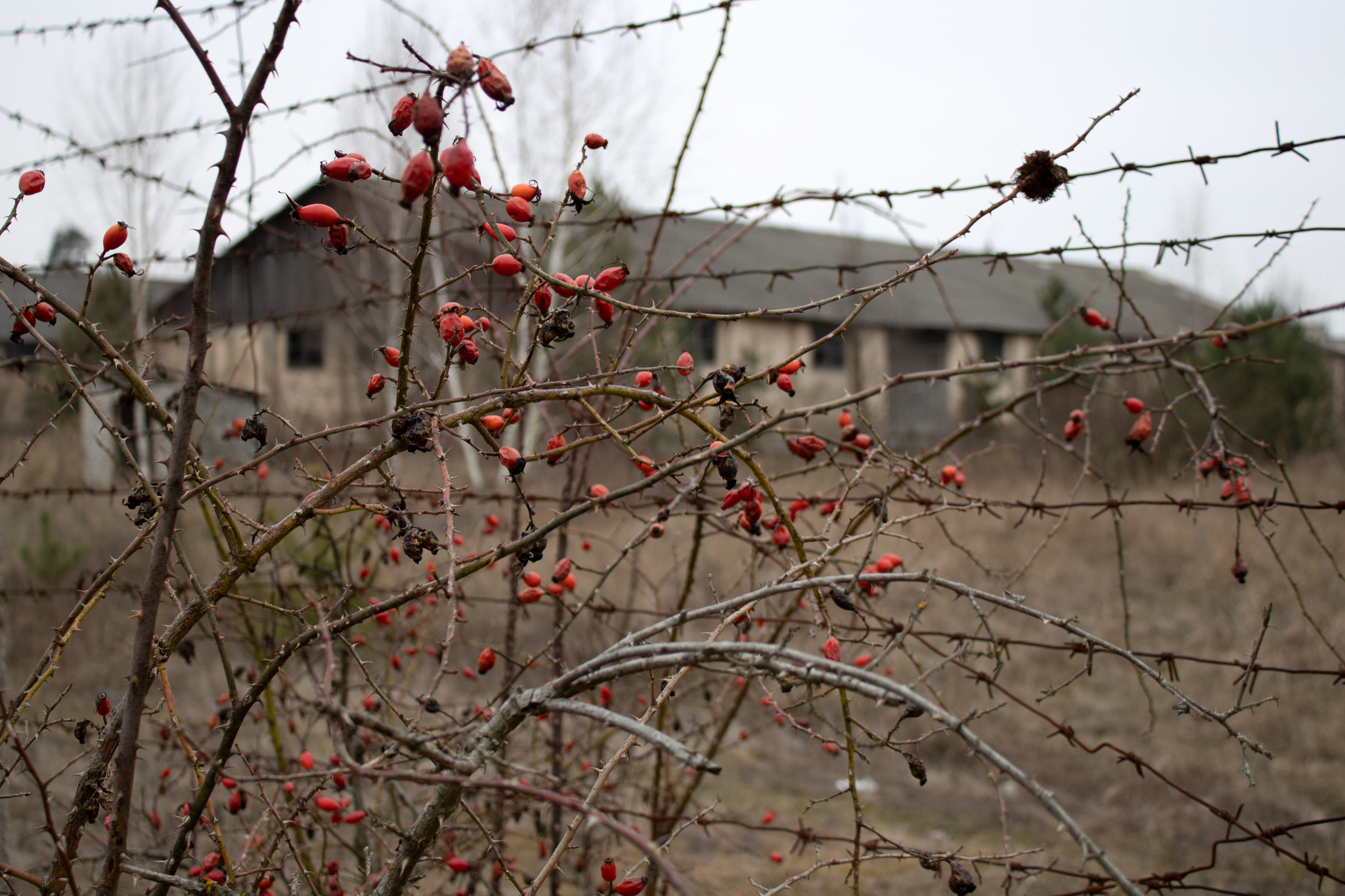 Outskirts of the city - My, The photo, Landscapes, Longpost