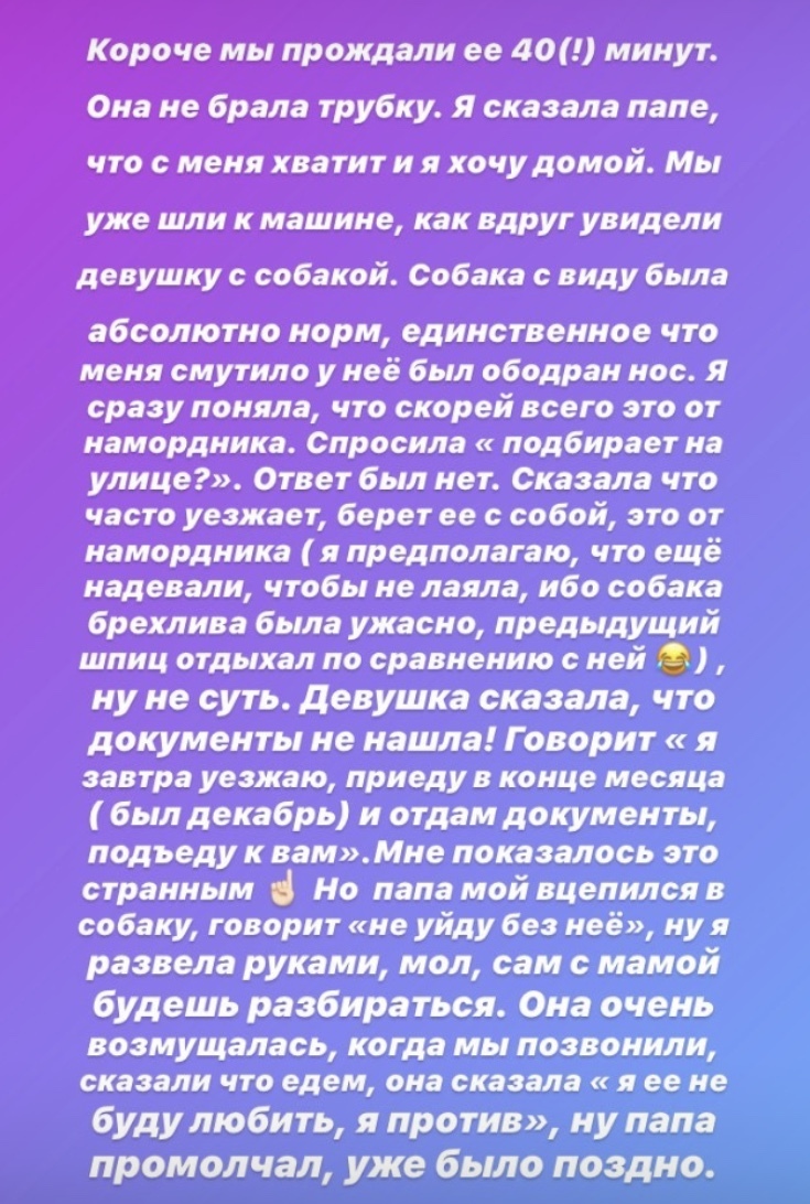 Развод на авито или бесплатная передержка - Моё, Авито, Собака, Передержка, Длиннопост, Развод на деньги