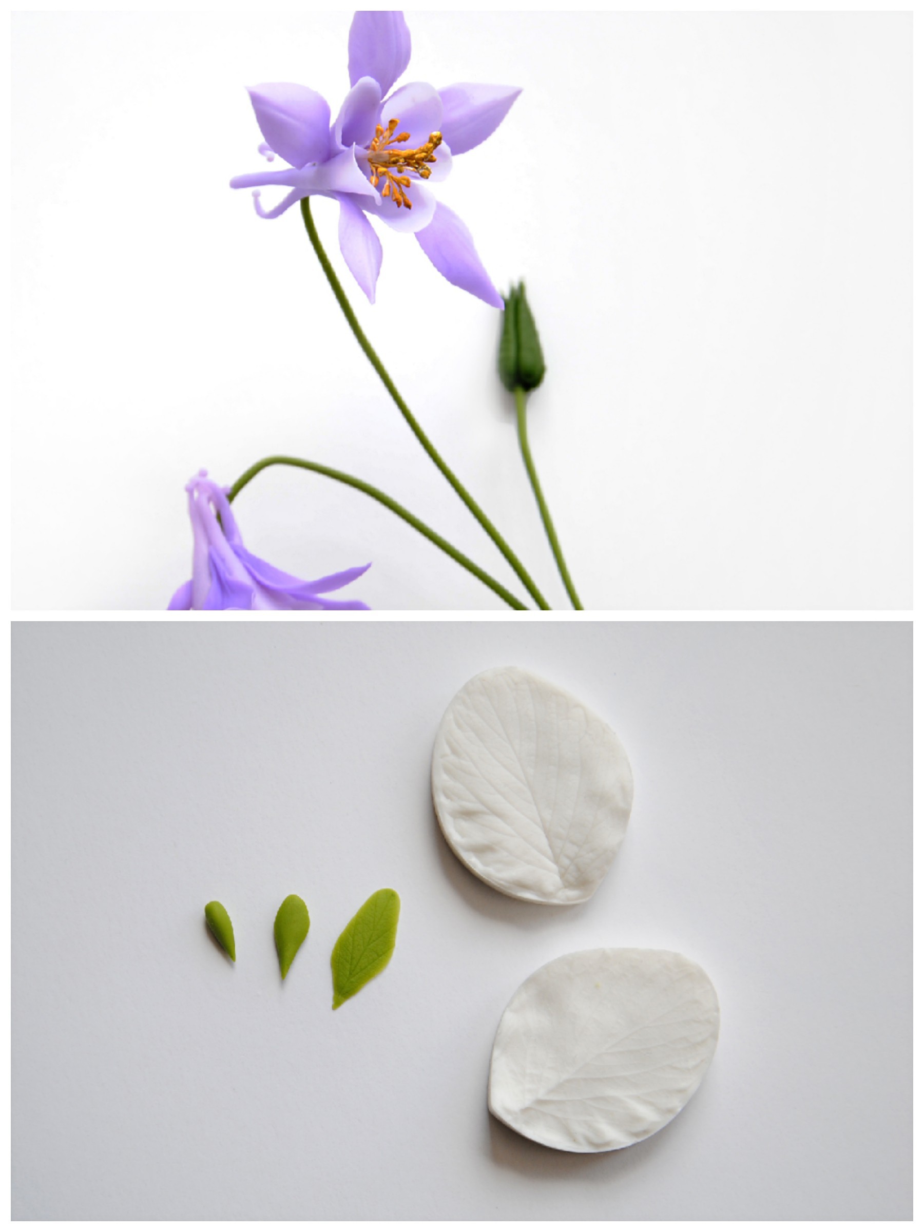 How I sculpted an aquilegia from cold porcelain. MK - My, Needlework with process, Polymer floristry, Longpost, Cold porcelain, Polymer clay, Flowers