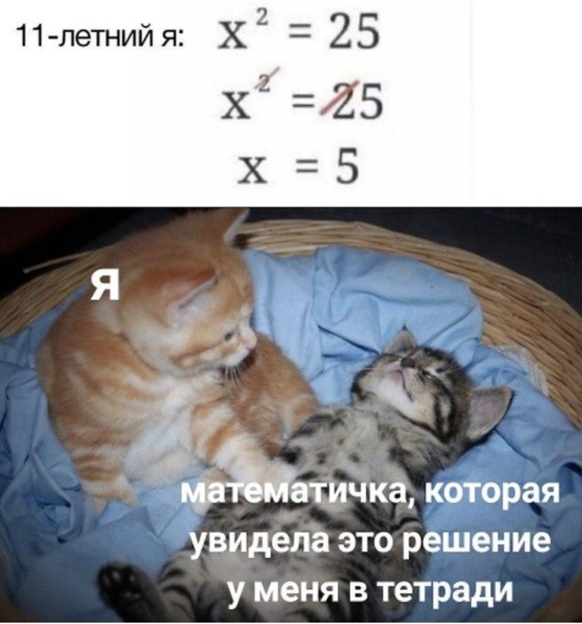 Математика - Котята, Математика, Школа, Учитель, Кот, Картинка с текстом