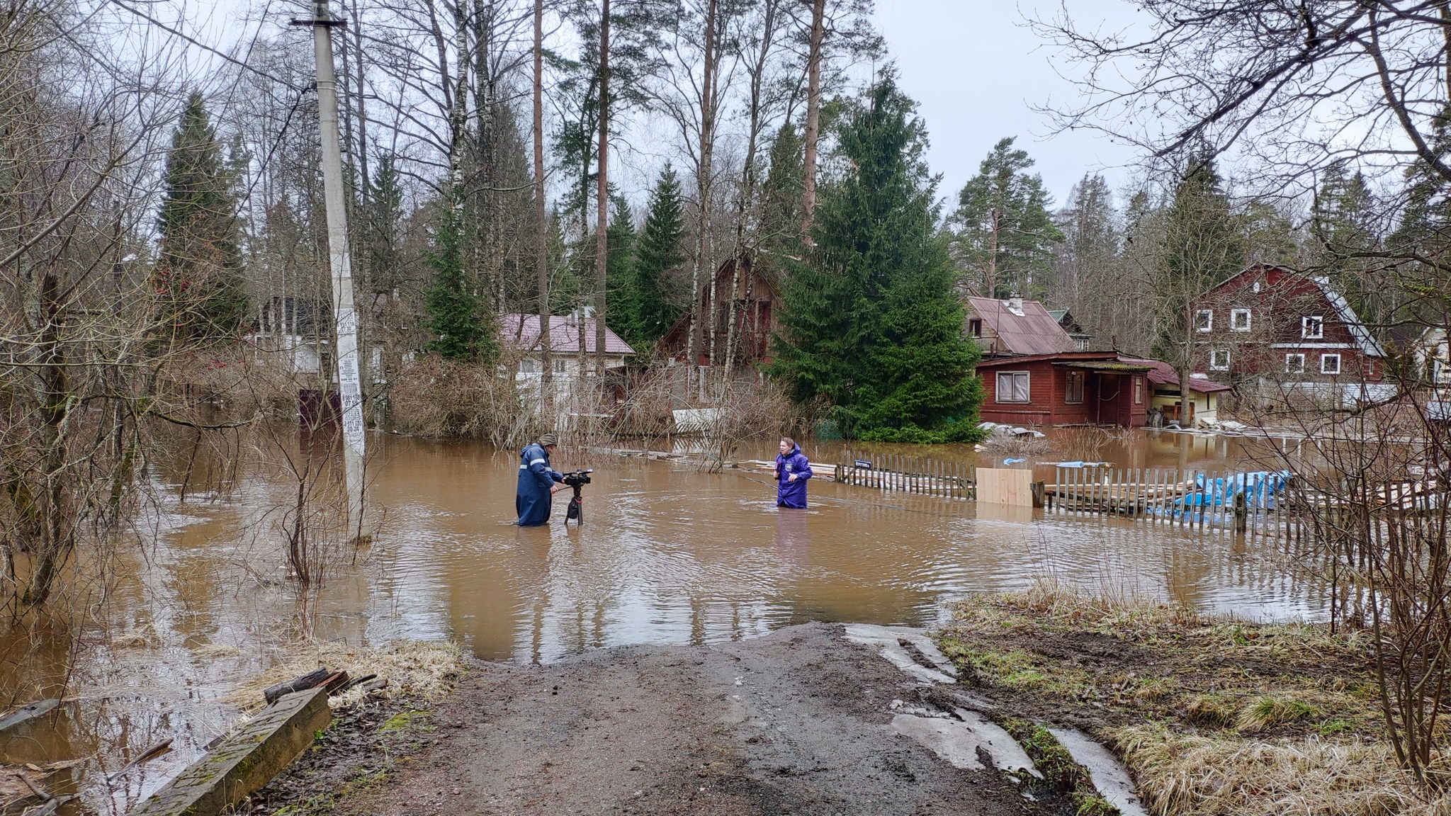 река сестра сестрорецк