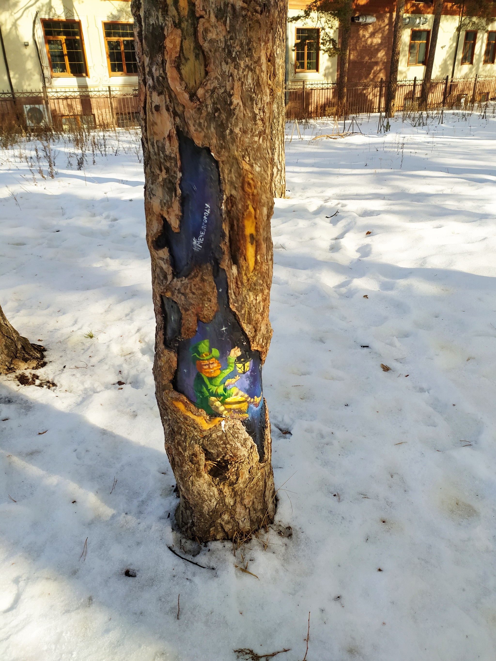 Drawings on trees - Chelyabinsk, Tree, Drawing, Longpost