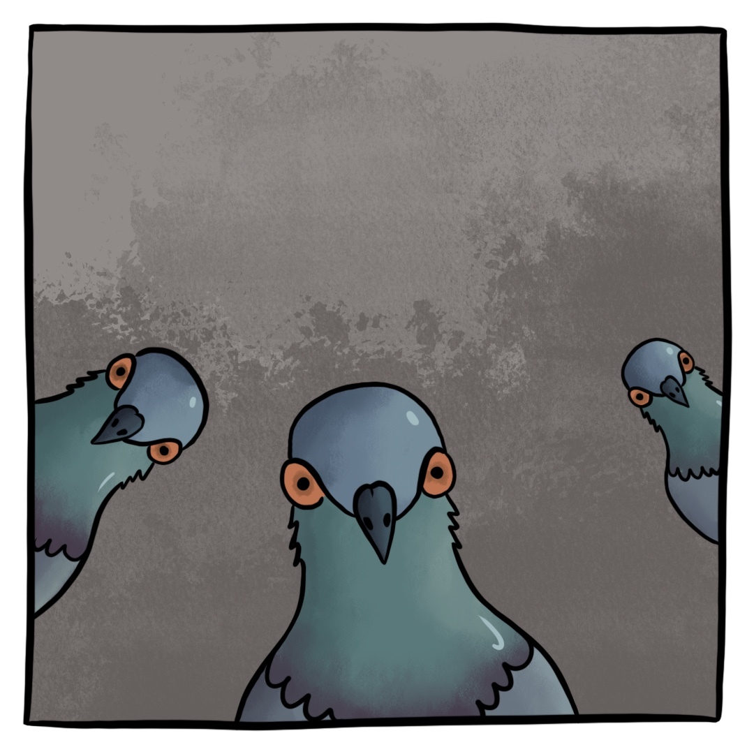 Caught Zen - My, Meditation, Pigeon, Longpost, Comics