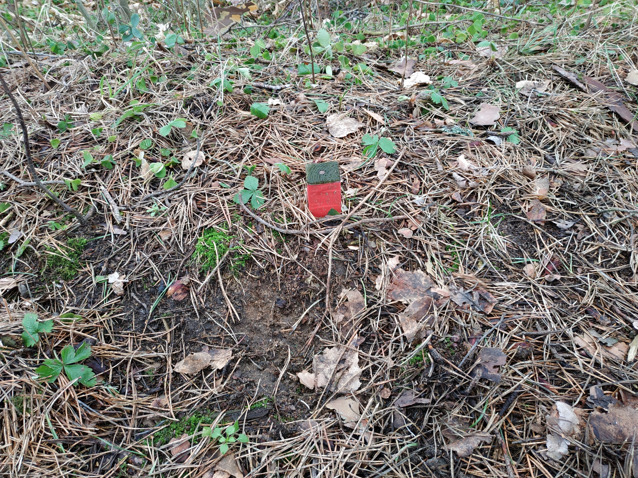 Numbers and pegs around the site - My, Forest, The border, Longpost