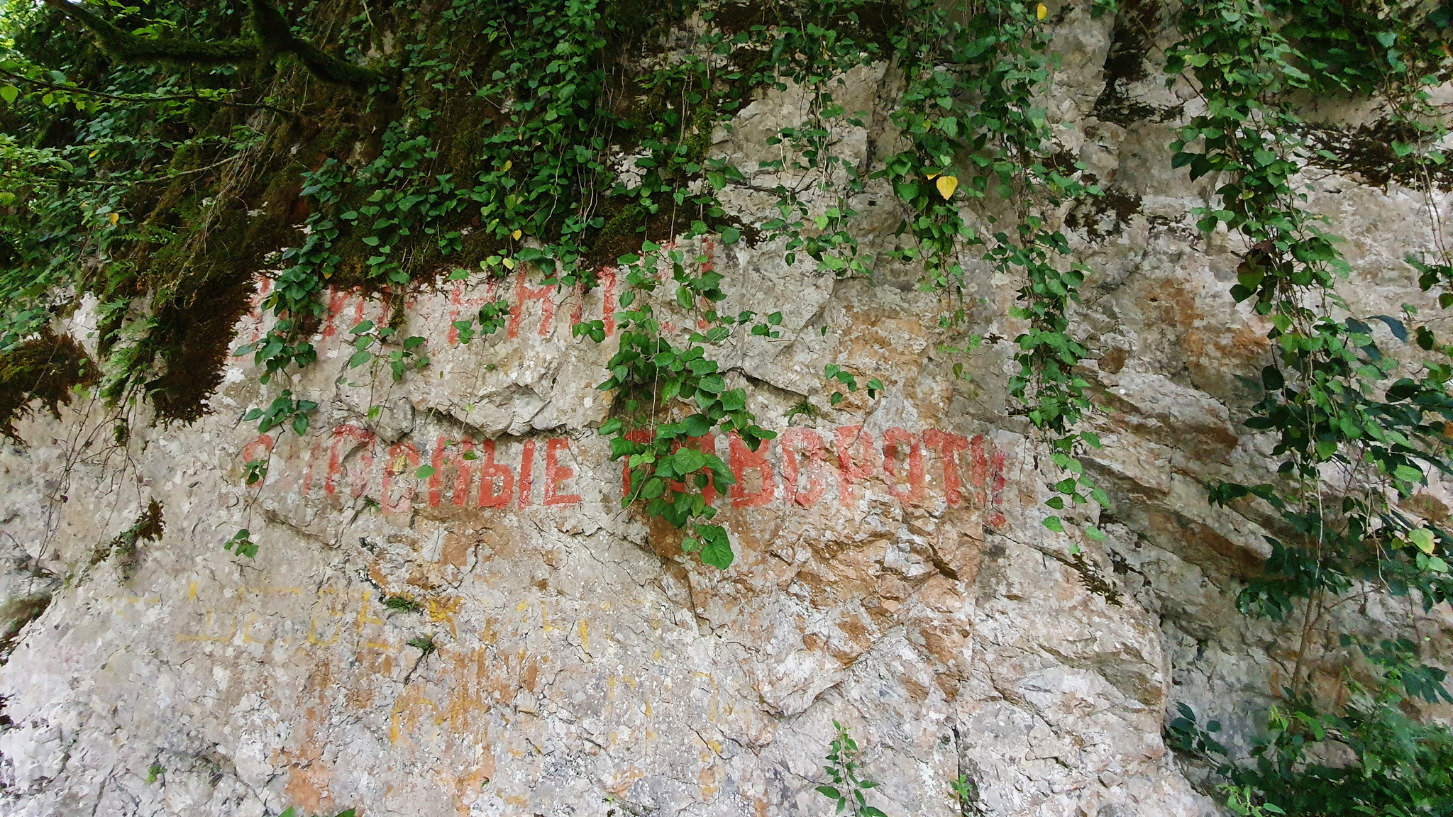 Bring it through, Lord! or the old road to Krasnaya Polyana - My, Adler, Krasnaya Polyana, Road, The rocks, Longpost