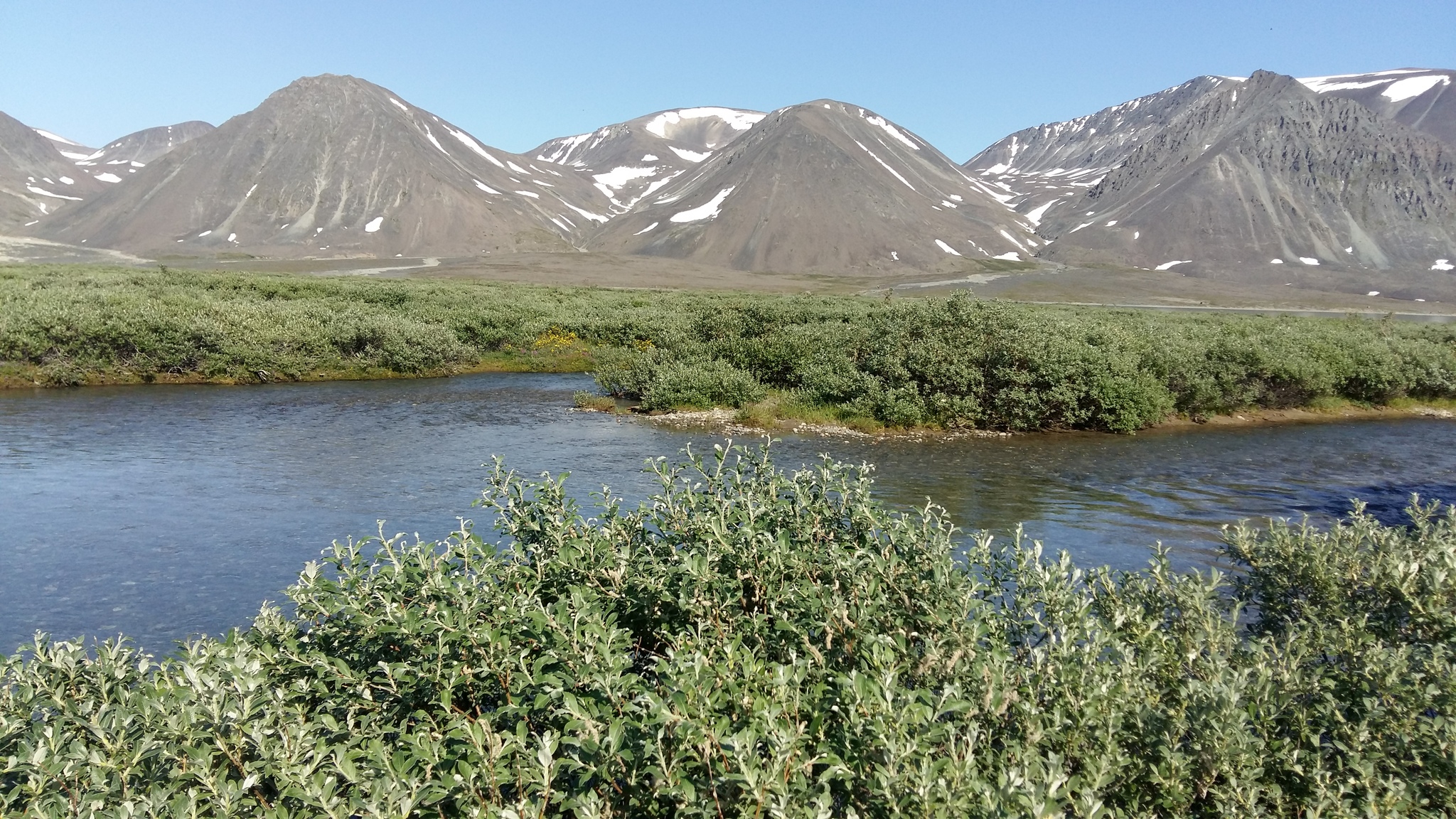 Summer in Chukotka 2019 - My, Bay of the Cross, Tundra, Longpost, Chukotka, Summer