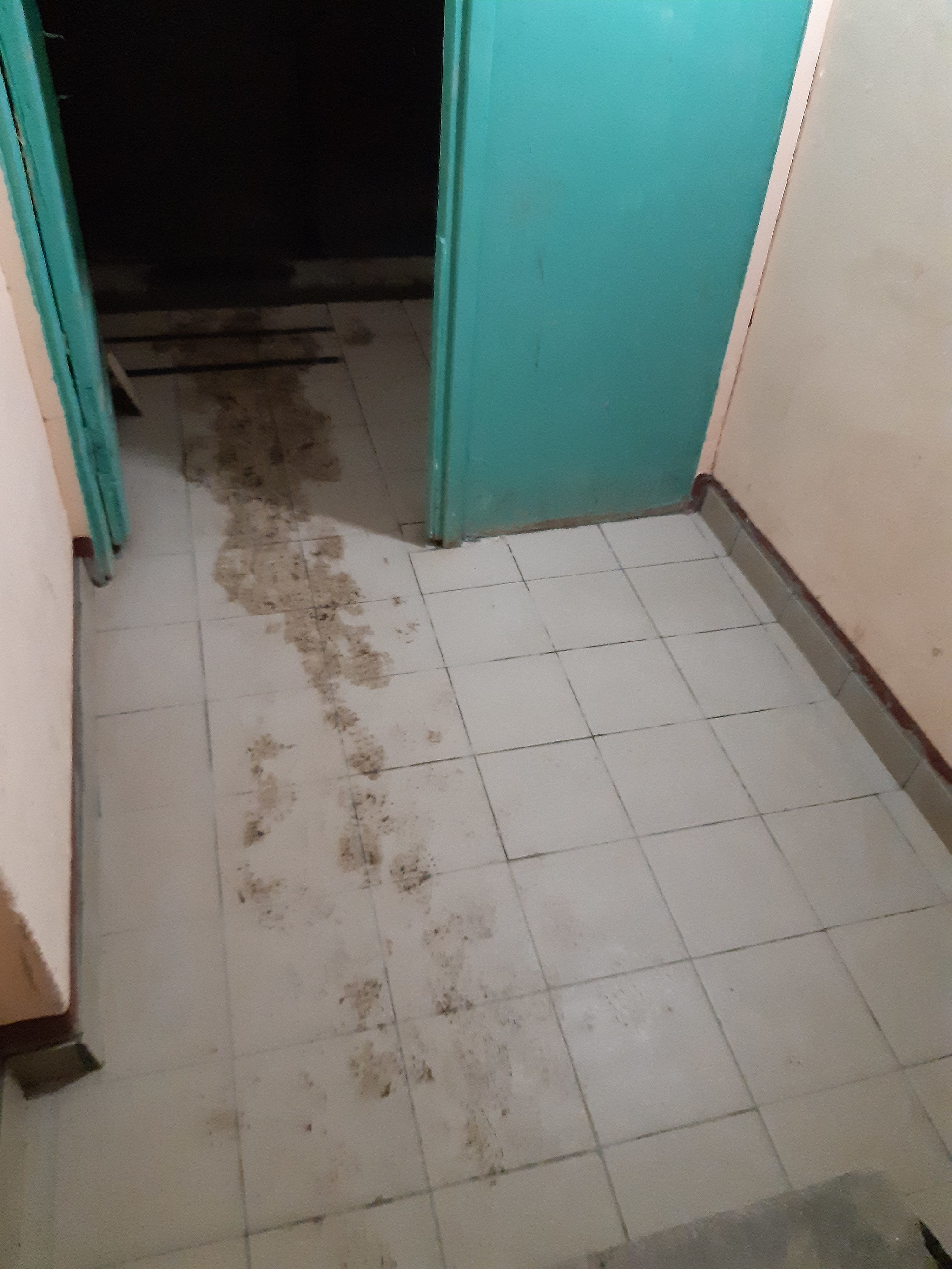Post #7257270 - My, Entrance, Housing and communal services, Tiles on the floor, Longpost