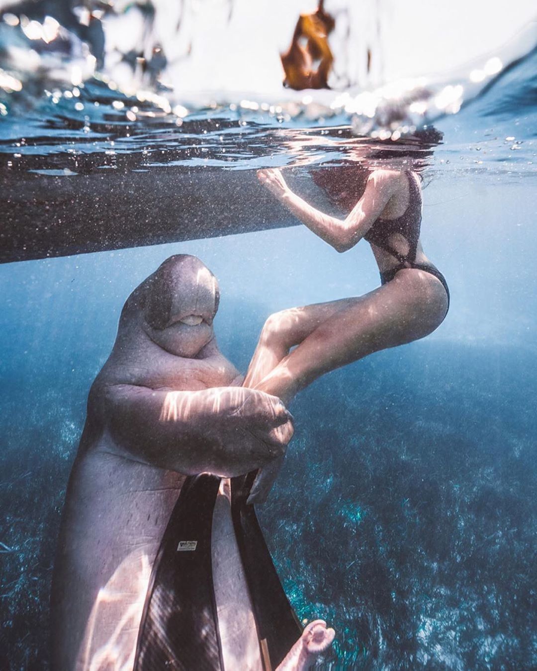 Zhdun waited - Sea, Underwater world, Manatee, Girls