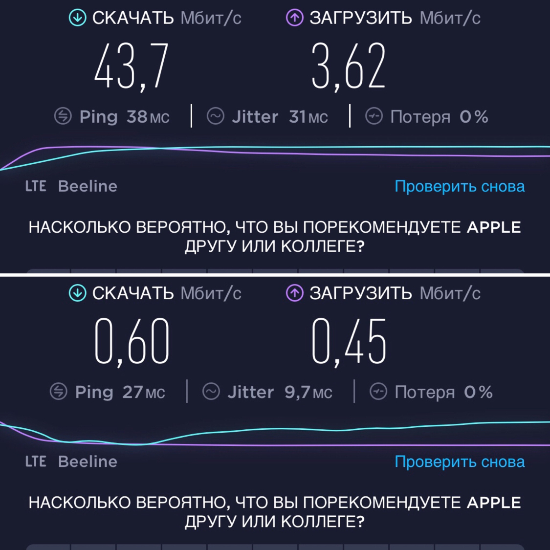 Иблайн они же Билайн Санкт-Петербург | Пикабу