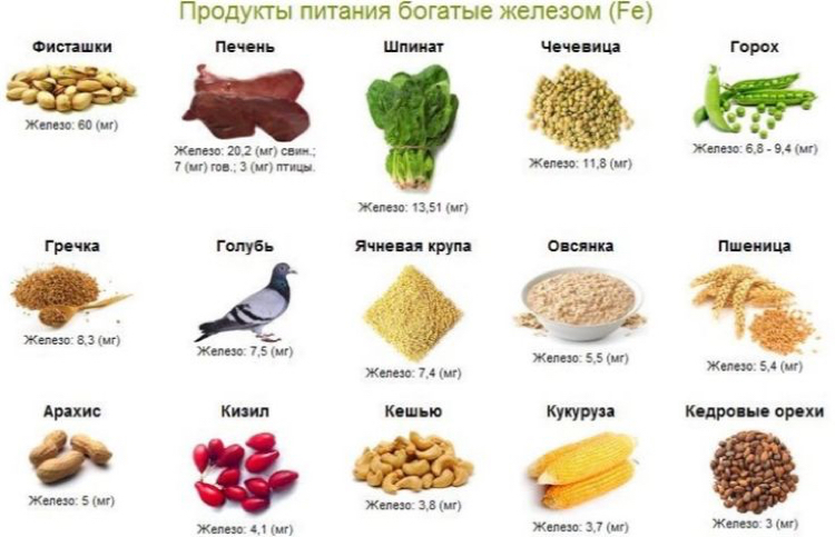 Iron rich foods... - Health, Hemoglobin, The medicine, Pigeon, Sorry for the bird