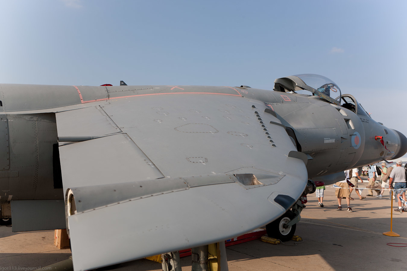 Vertical Briton.Sea Harrier FA2 - Great Britain, Harrier, Longpost