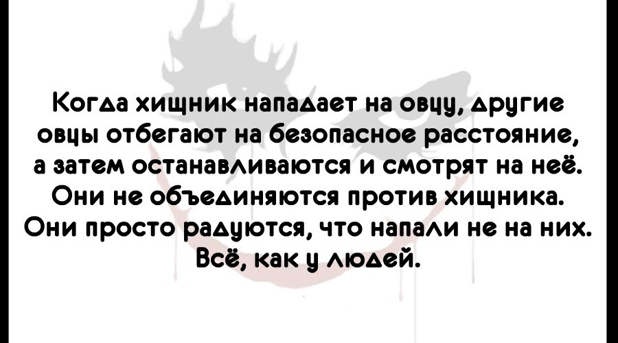 Или просто инстинкт самосохранения срабатывает на ура... - Хищник, Овцы, Самооборона, Защита