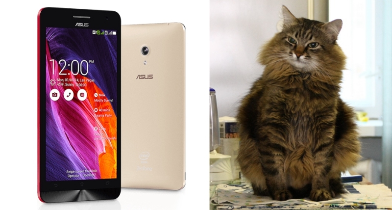 Need help Asus Zenfone 6 (A600CG) Novosibirsk - My, Asus, Asus zenfone 6, Ремонт телефона, Help