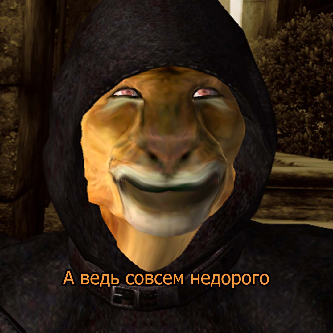 Typical Oblivion - The elder scrolls, The Elder Scrolls IV: Oblivion, Games, Memes, Longpost, Khajiit