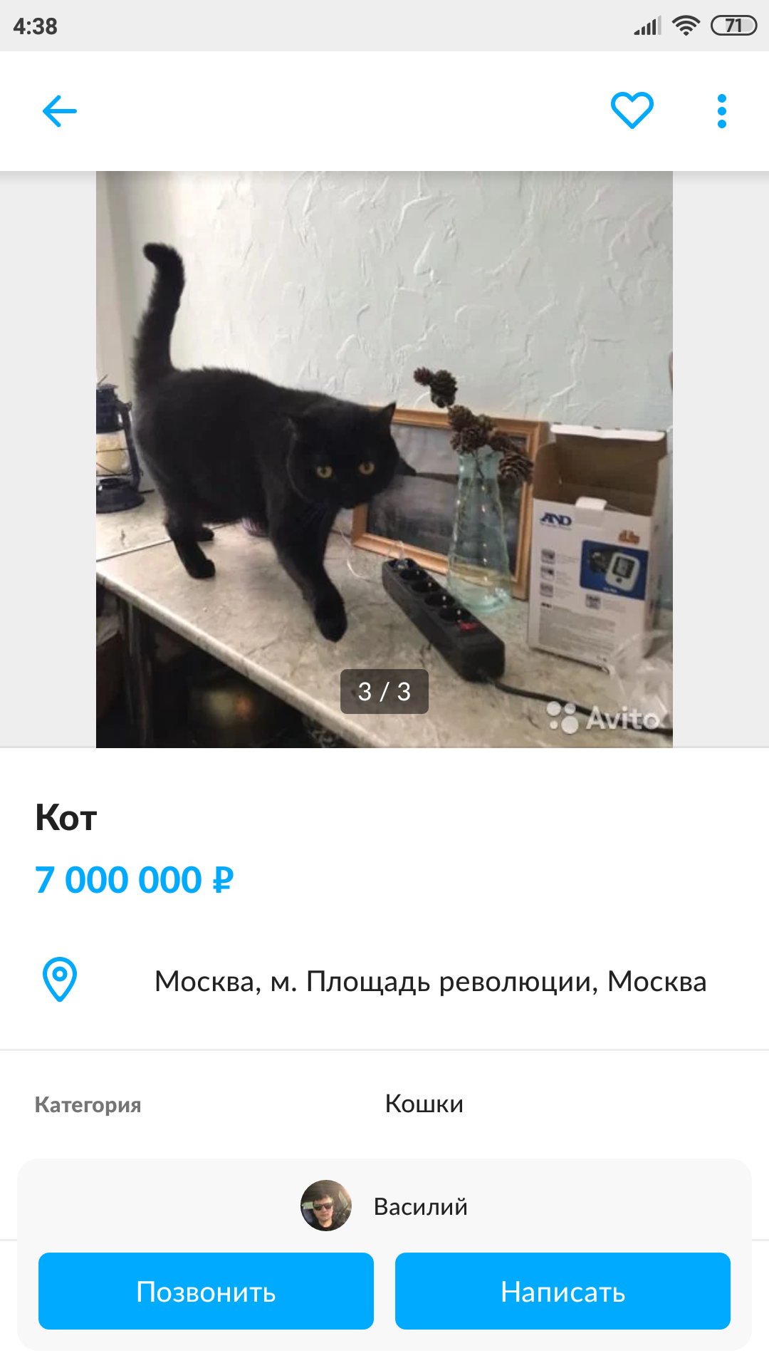 Suddenly someone needs it (stolen) - Avito, cat, Peeped, Black cat, Longpost