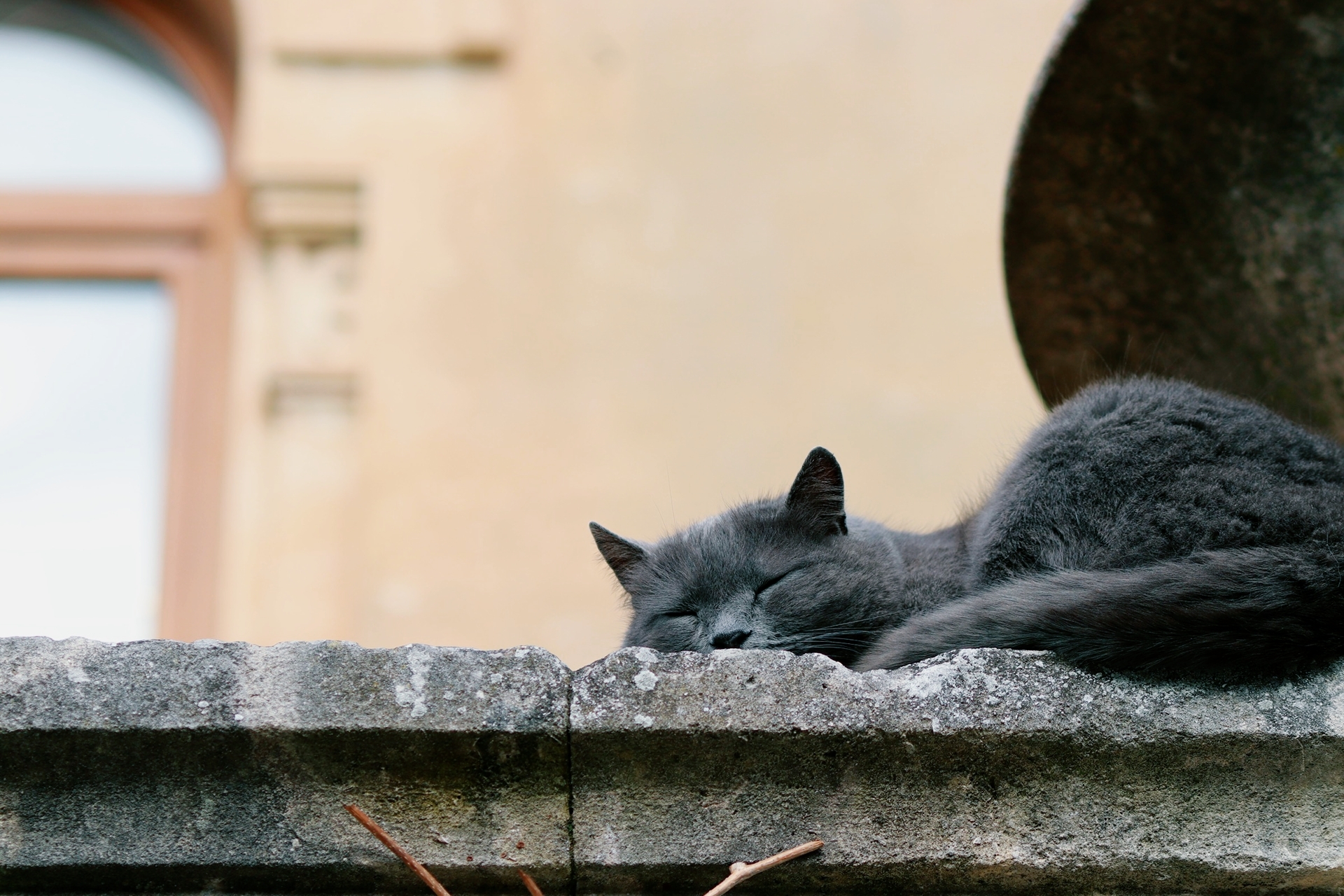 A walk by the sea, without the sea, part 2 - My, Sea, The photo, Walk, cat, Longpost