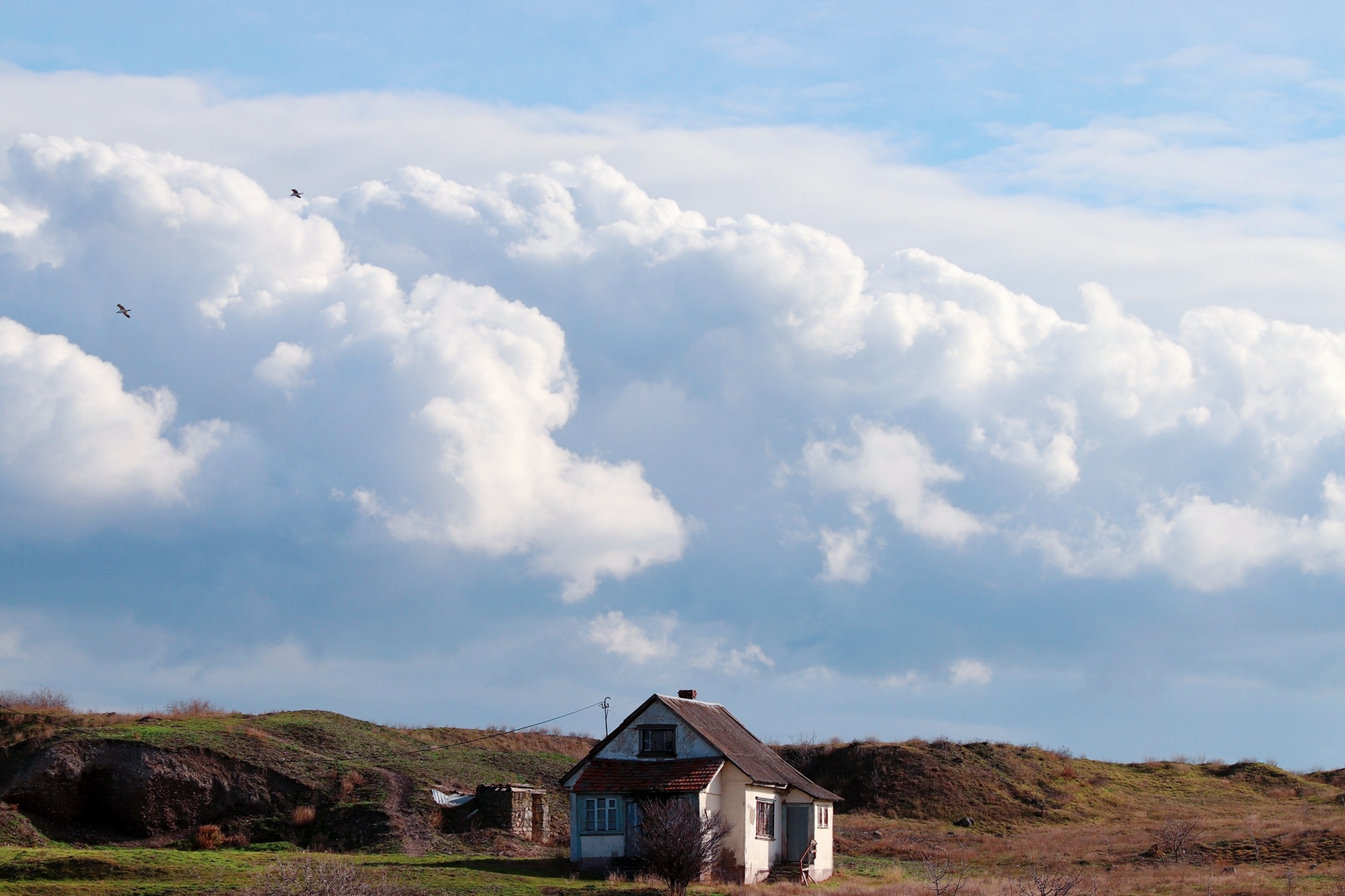 A walk by the sea, without the sea, part 2 - My, Sea, The photo, Walk, cat, Longpost