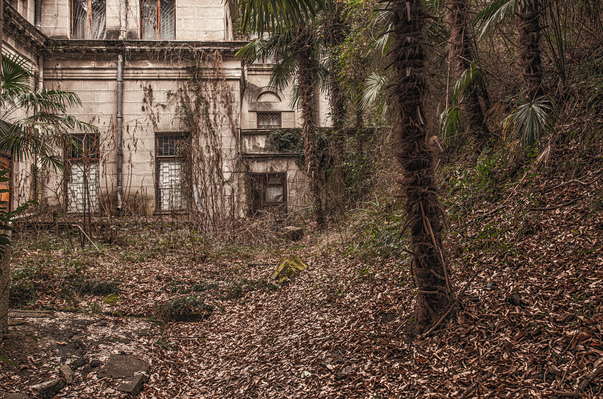 Abandoned sanatorium named after. Ordzhonikidze - My, Sochi, Sanatorium, Abandoned, The photo, Russia, Travels, Longpost