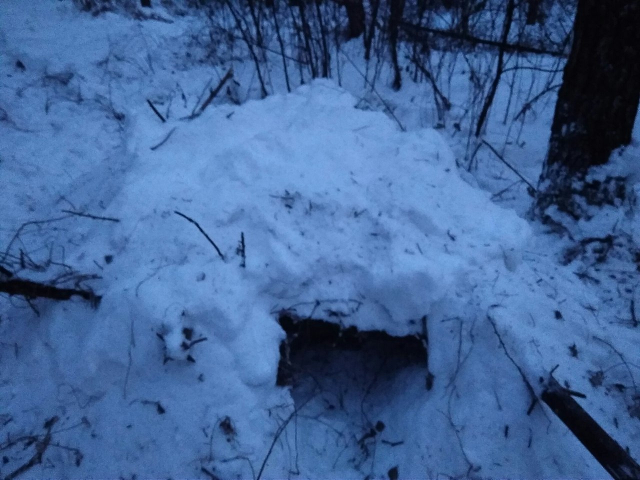 How I built a shelter in the forest - My, Longpost, Text, Tourism, Novosibirsk region, Cedar