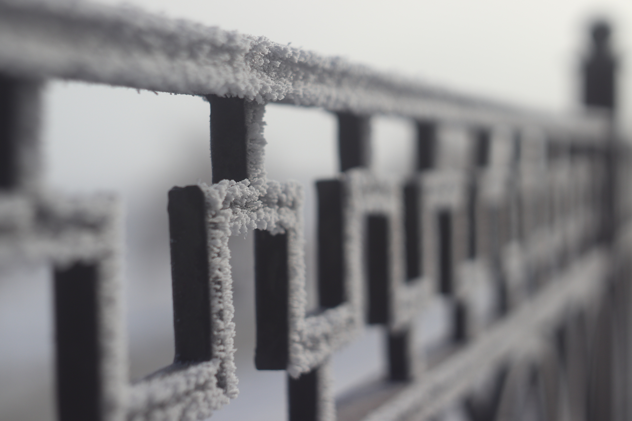 Frost on the fence, in the last days of winter - My, Frost, freezing, Winter, Fence, Snow