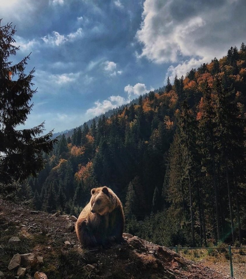 Carpathians - Carpathians, The photo, beauty, Longpost