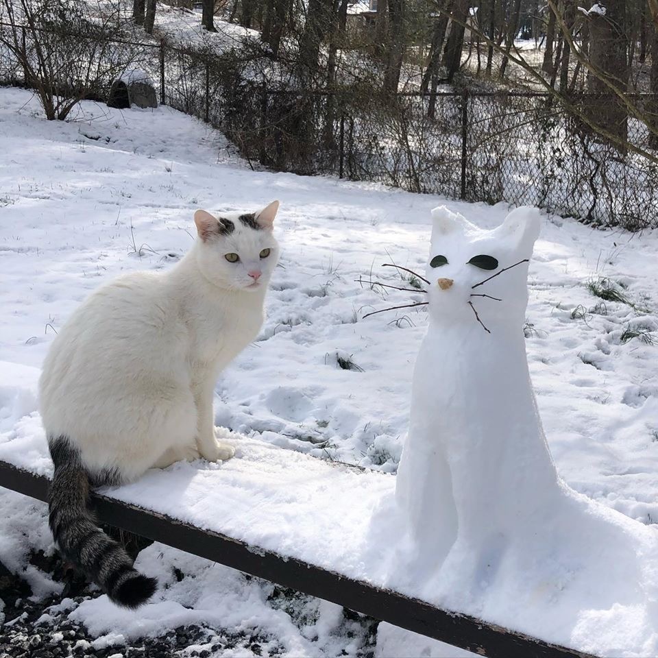 A Brief History of a Snowman - cat, Catomafia, snowman, Longpost