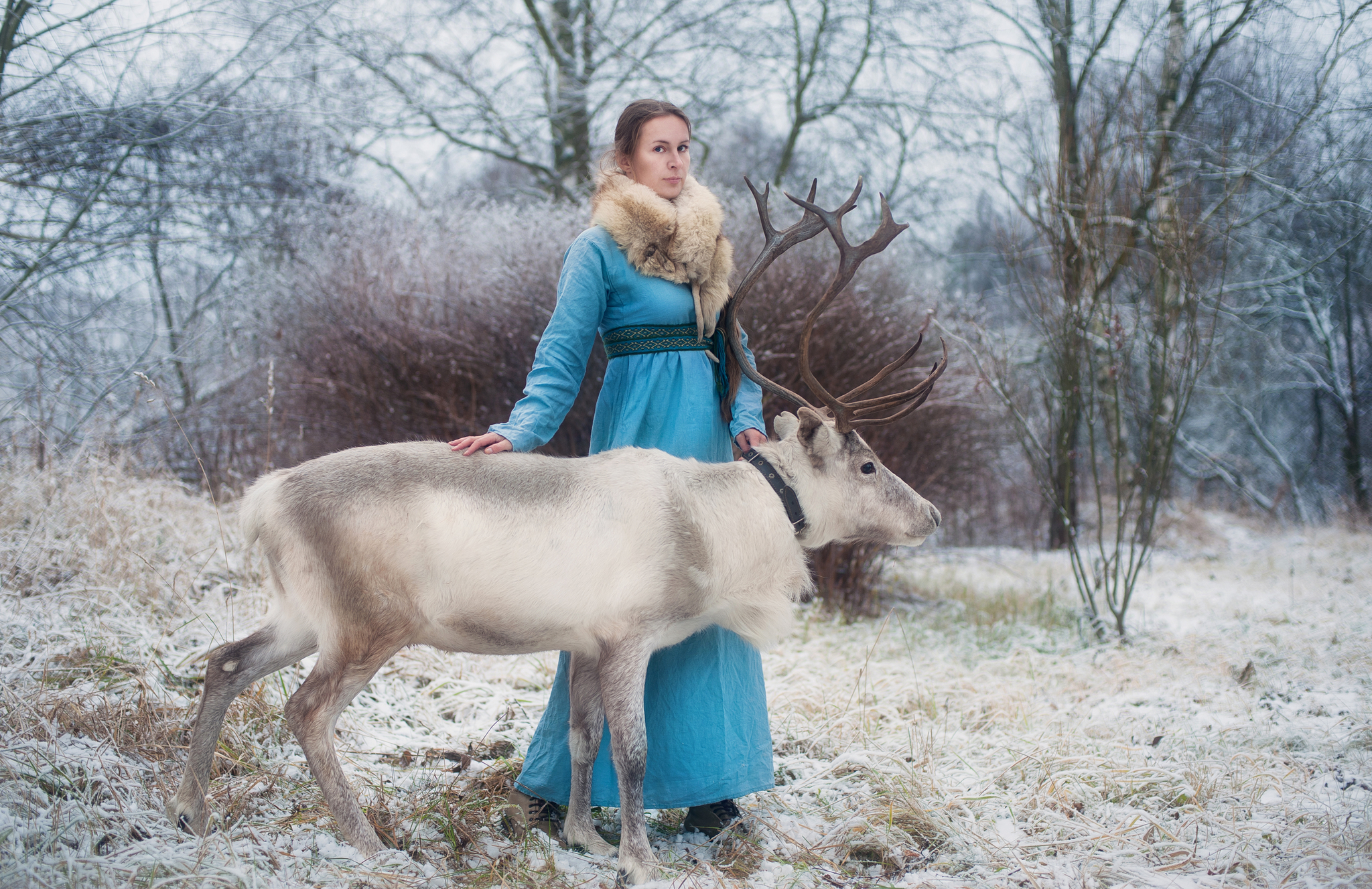 Photo sessions with animals - My, PHOTOSESSION, Deer, Nature, Winter, Girls, Longpost