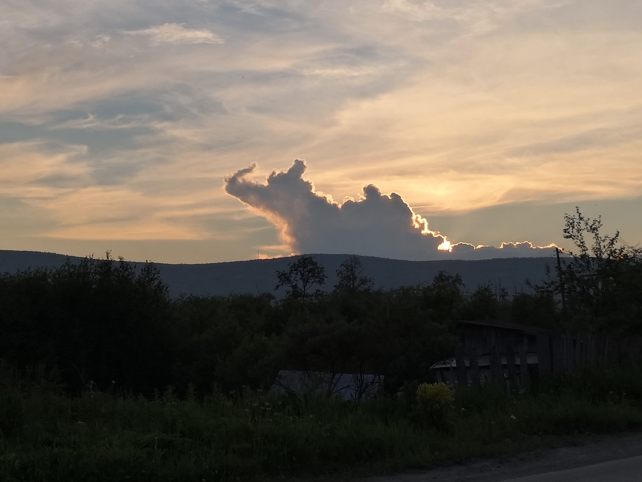 Elephant in the clouds - My, Clouds, beauty, Baby elephant, Sunset