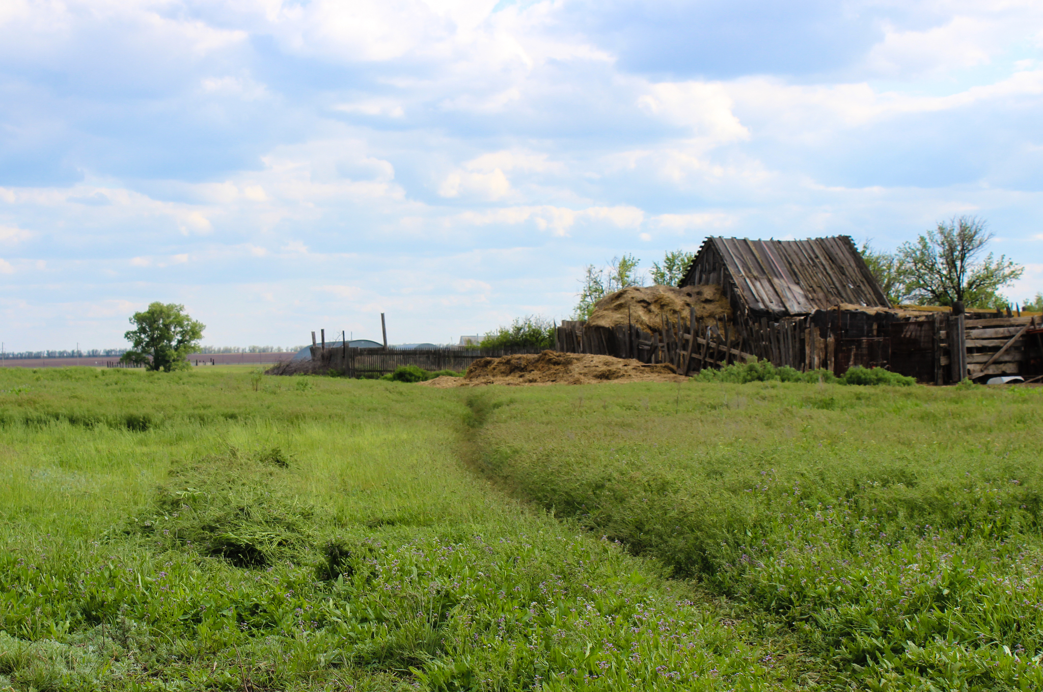 Rustic - My, Village, Nature, The photo, Longpost