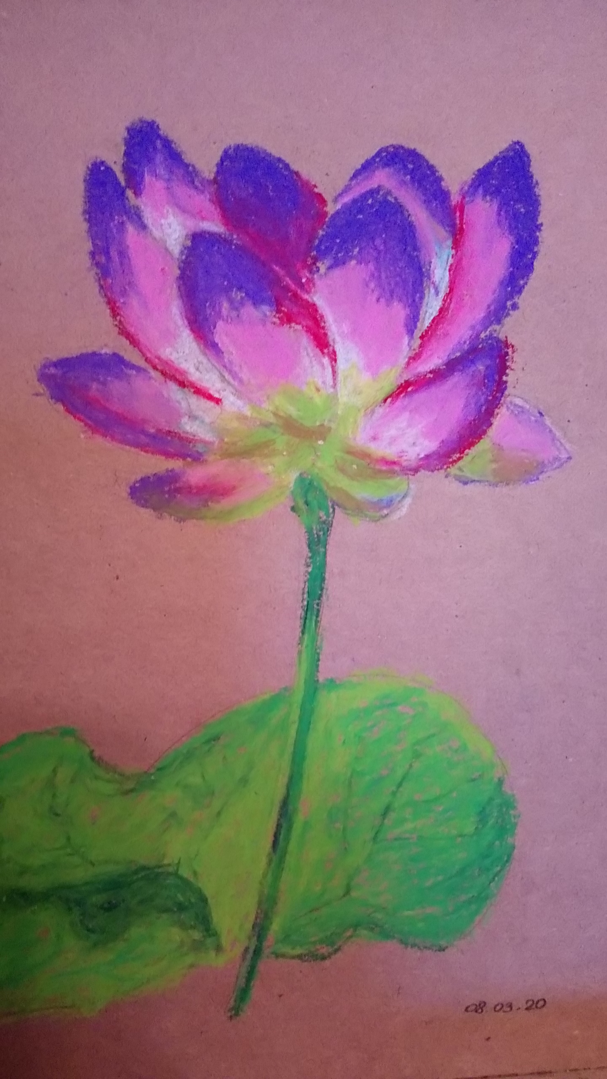 Flower - My, Drawing, Flowers, Oil pastel