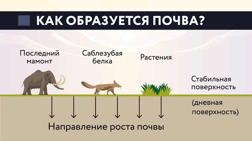 Культурный слой: что о нем думают те, кто его никогда не видел, и какова реальность. Часть 1 - Моё, Наука, Научпоп, Антропогенез ру, Ученые против мифов, Длиннопост, Археология, История, Видео