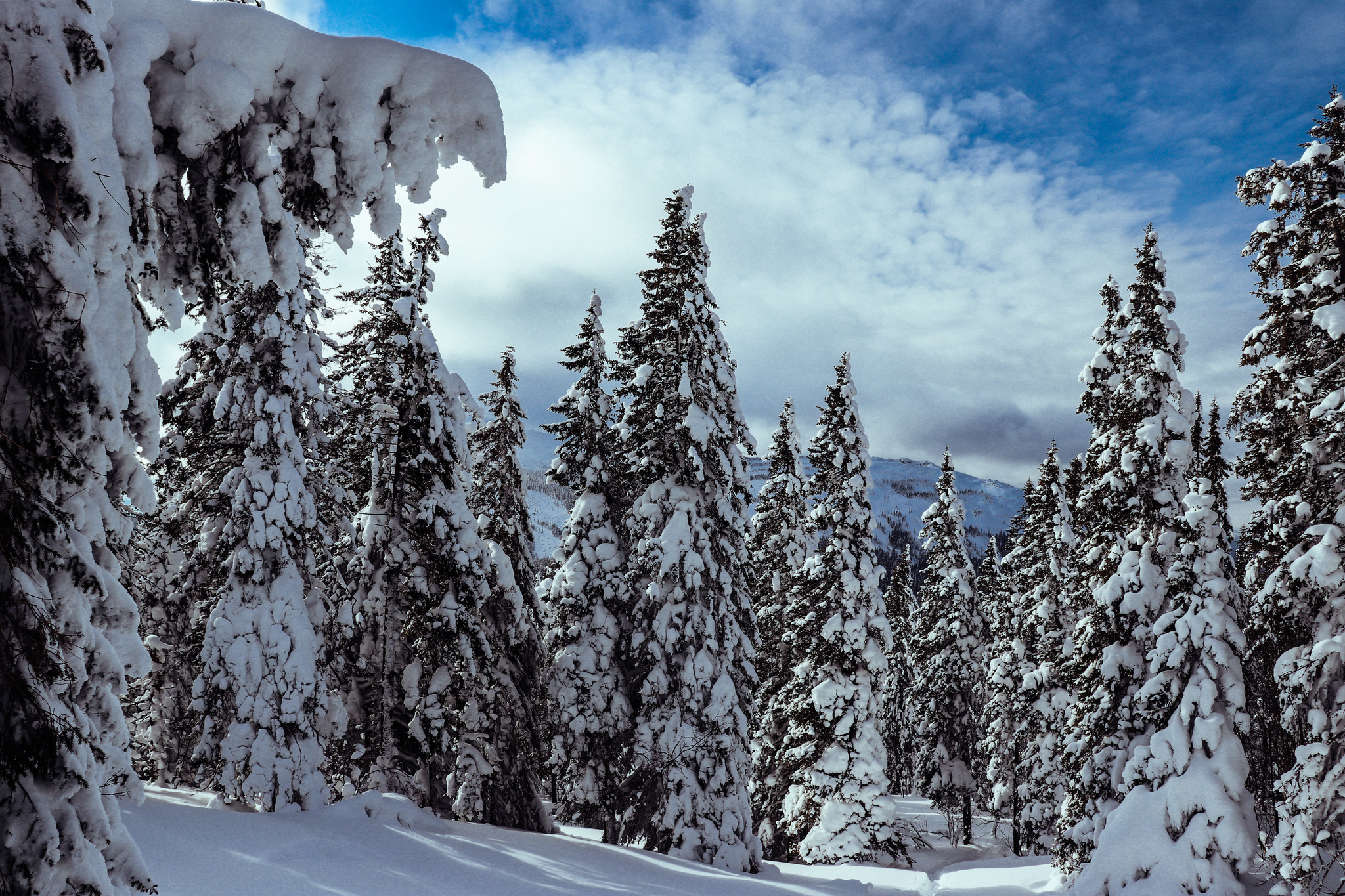 Zyuratkul - My, The mountains, Nature, The park, The photo, Lightroom, Canon, Longpost