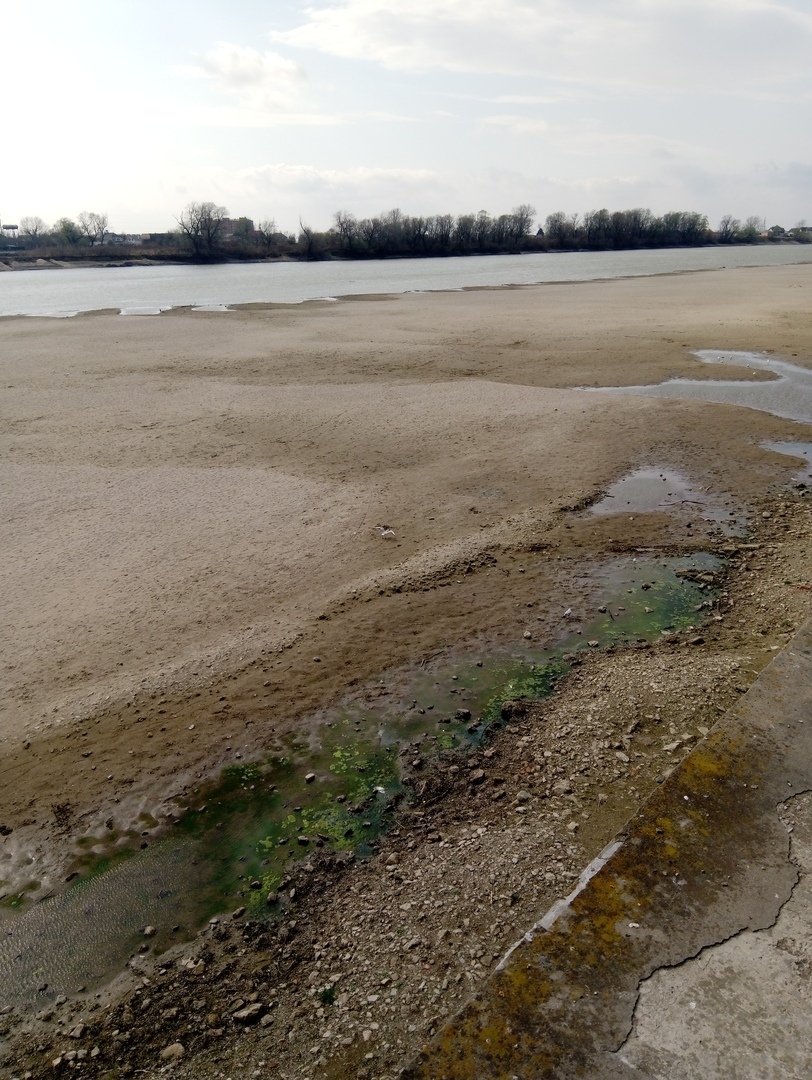 The water of the Kuban River flows where the Bolsheviks command! - My, Kuban, Krasnodar, Nature, beauty of nature, Ecology, Spring, March, South, Longpost