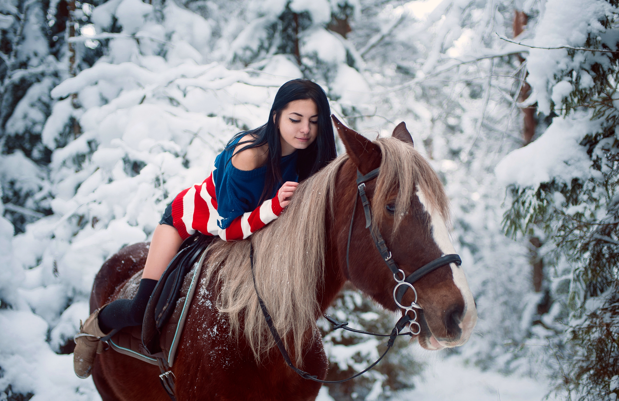 Horse photo walks - My, PHOTOSESSION, Horses, Nature, Winter, Girls, Longpost