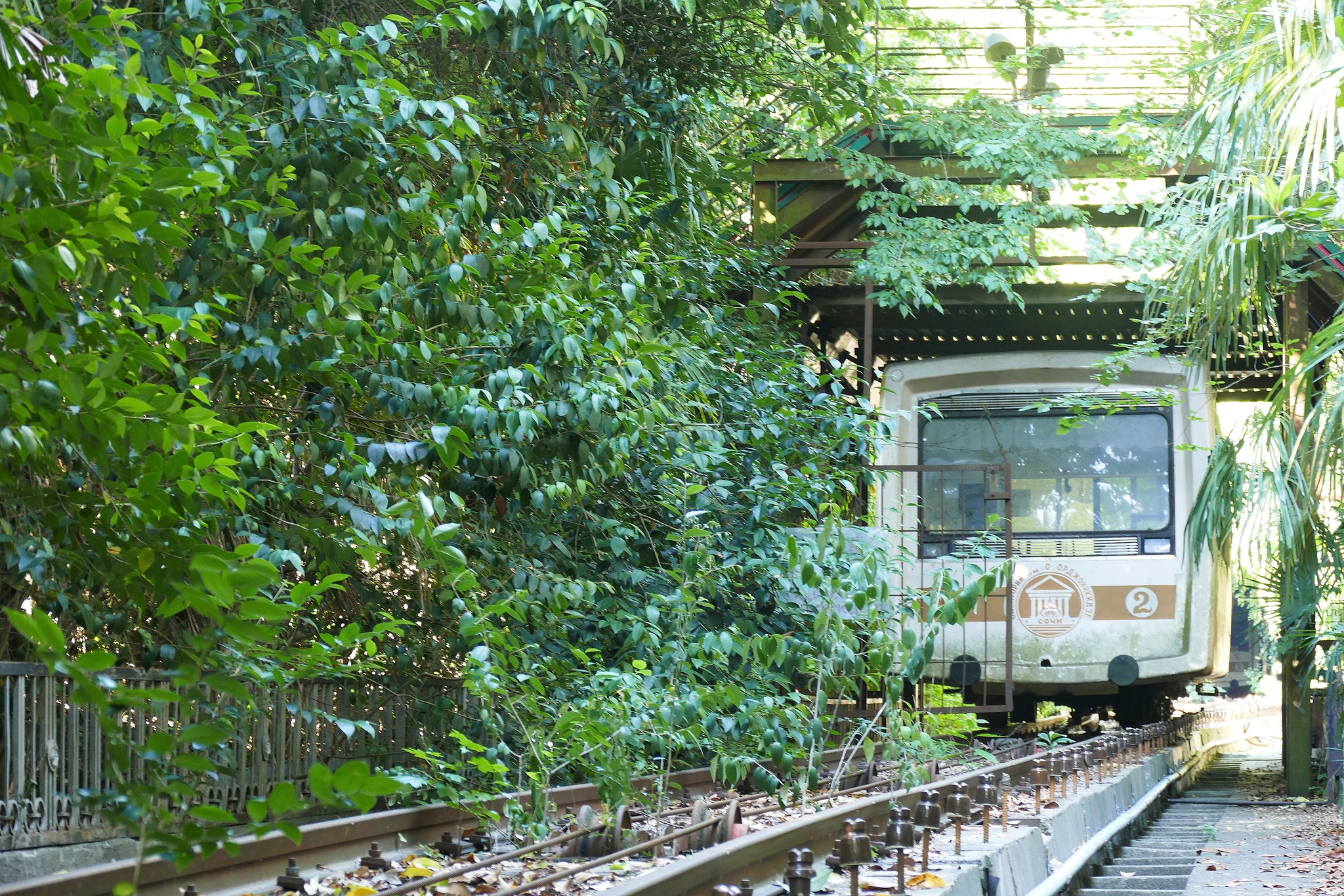 Abandoned funicular railway in Sochi - Funicular, Sochi, Longpost, Video, Abandoned