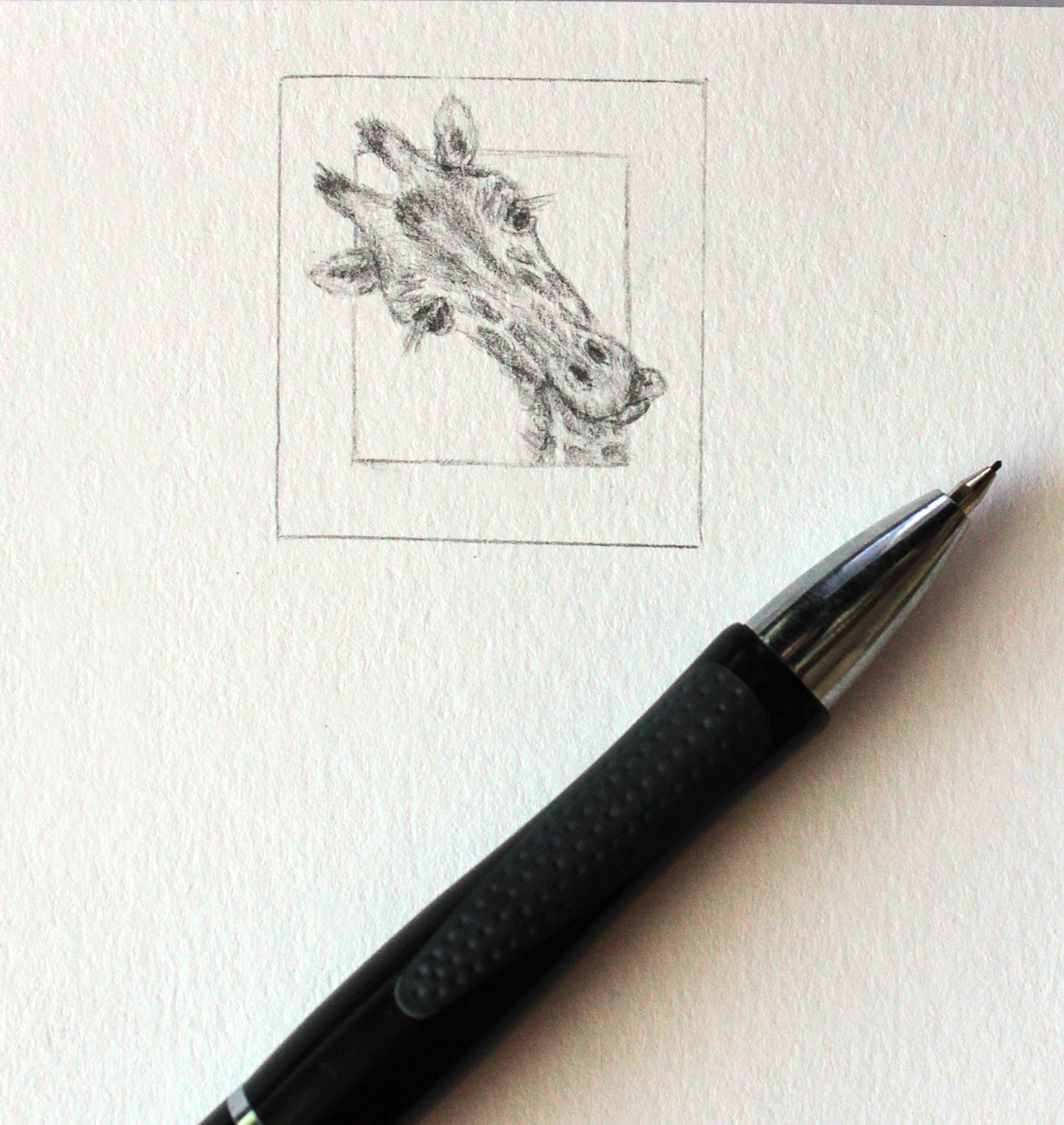 Micro animals. Continuation - My, Microworld, Drawing, Longpost