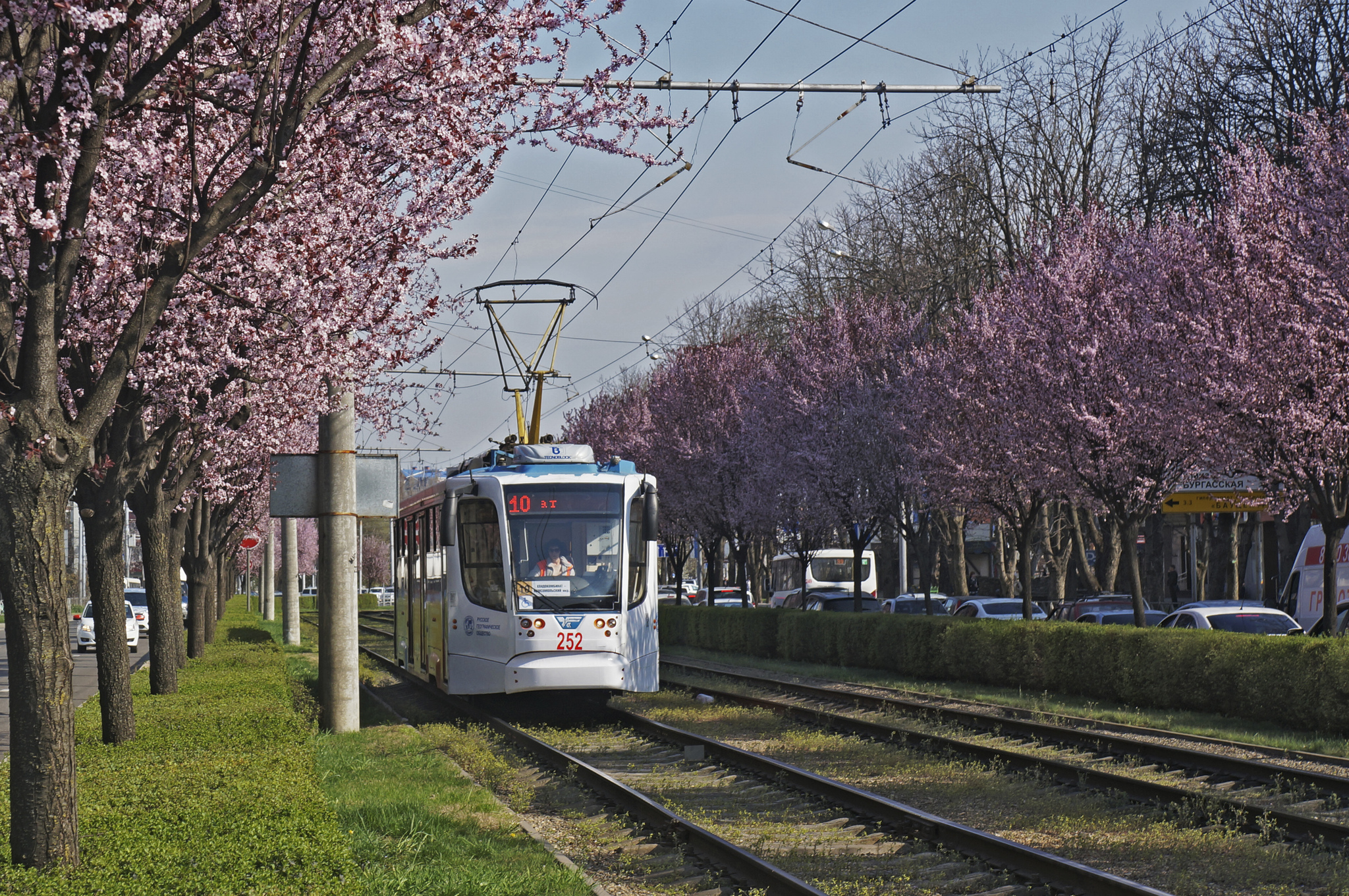 Краснодар Весна трамваи