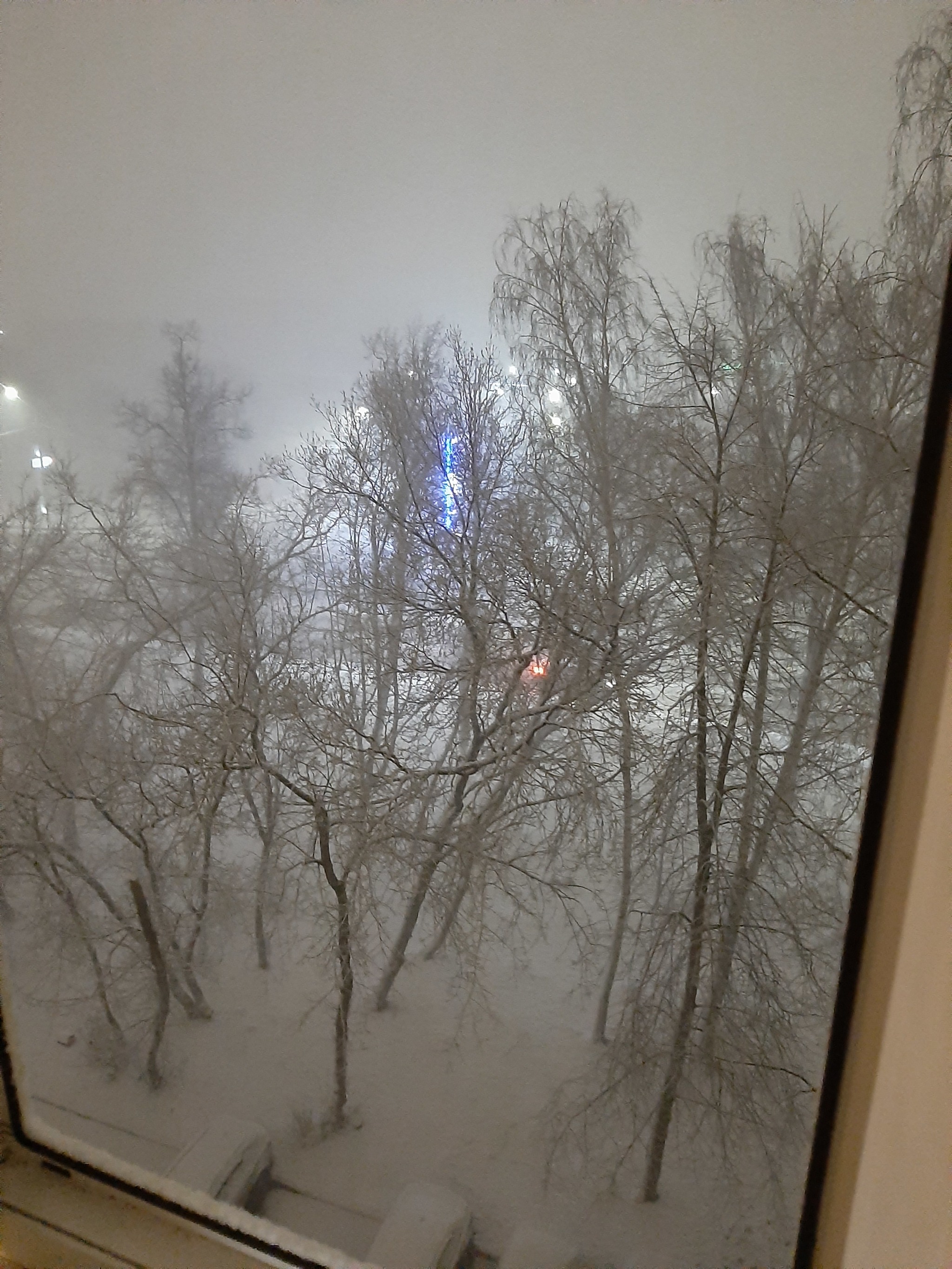 Winter has come to the Moscow region - My, Winter, March, Video, Longpost, Vertical video