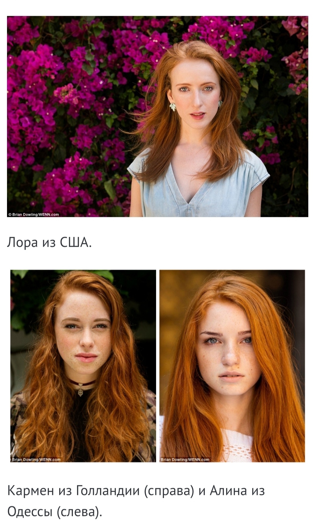 Red-haired beauty: the photographer collected red-haired beauties from all over the world in the project - Redheads, Girls, beauty, Photo project, Beautiful girl, The photo, Longpost