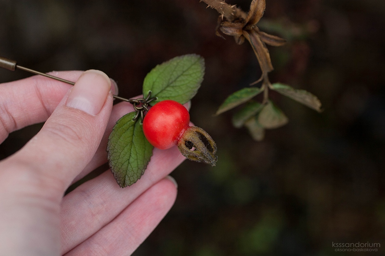 Briar from polymer clay - My, Polymer clay, Handmade, Needlework without process, Creation, Brooch, Berries, Longpost, Rose hip