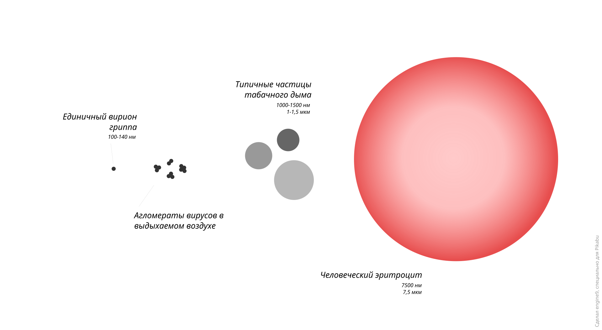 Увеличивающийся в размерах в воде. Размер молекулы воздуха и вируса. Сравнительные Размеры вирусов. Сравнение размеров молекул. Размер частиц дыма.