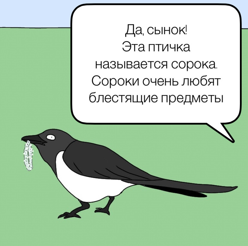 Magpie - My, Comics, Web comic, Magpie, Humor, Longpost