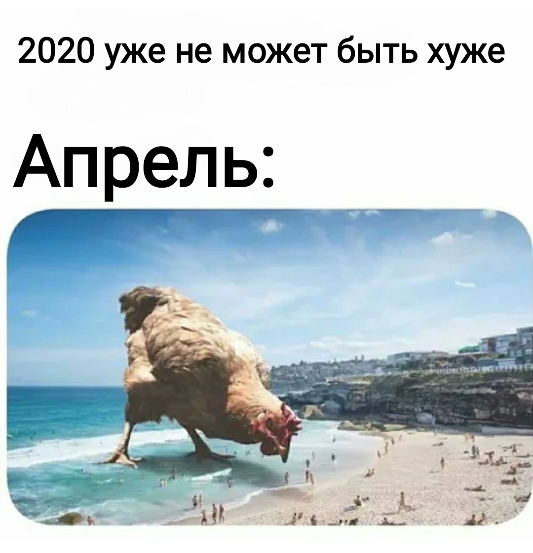 2020 won't be any worse - 2020, Apocalypse, Hen, Beach