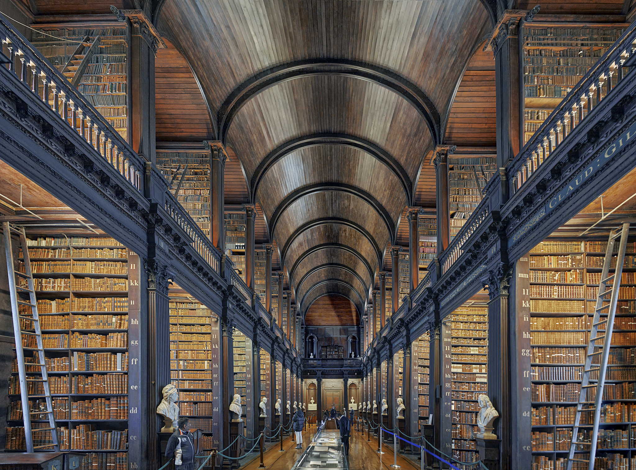 Library in Dublin - My, Harry Potter, Architecture, Interior, Travels, Ireland, Museum, The photo