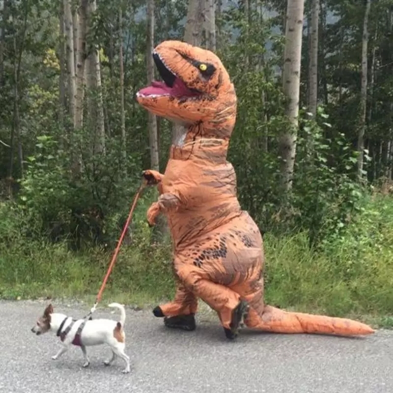 Walking the dog during a pandemic - Coronavirus, Pandemic, Walk, Humor, Dude in anti-plague suit, Costume, Dinosaurs, Dinosaur costume