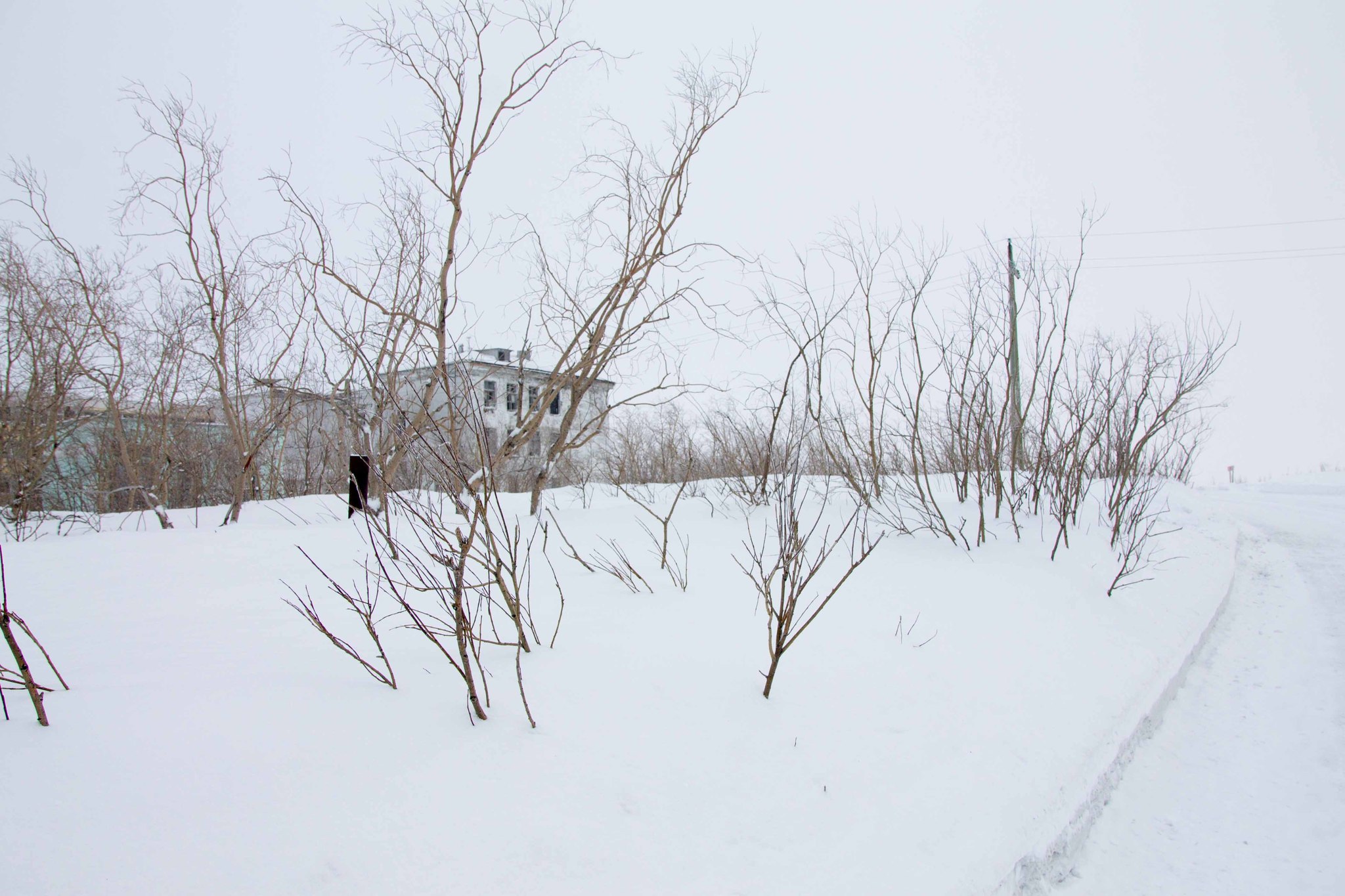 Cementnozavodsky, Komi Republic - My, Vorkuta, Komi, Far North, Abandoned, Photobritish, Travel across Russia, Longpost