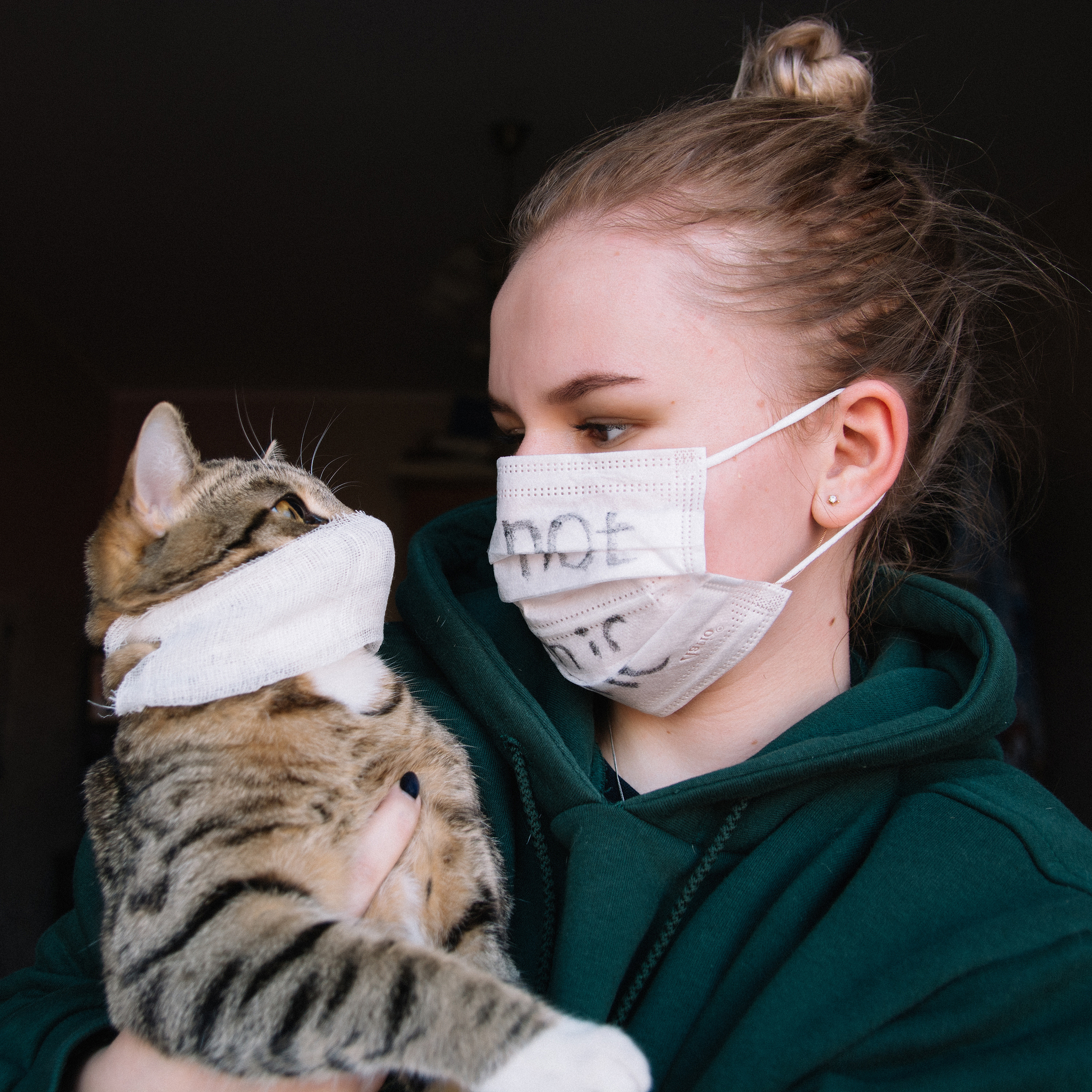 Do not panic,meow - My, Coronavirus, Pandemic, cat, Mask, Medical masks, Girls, Don't panic