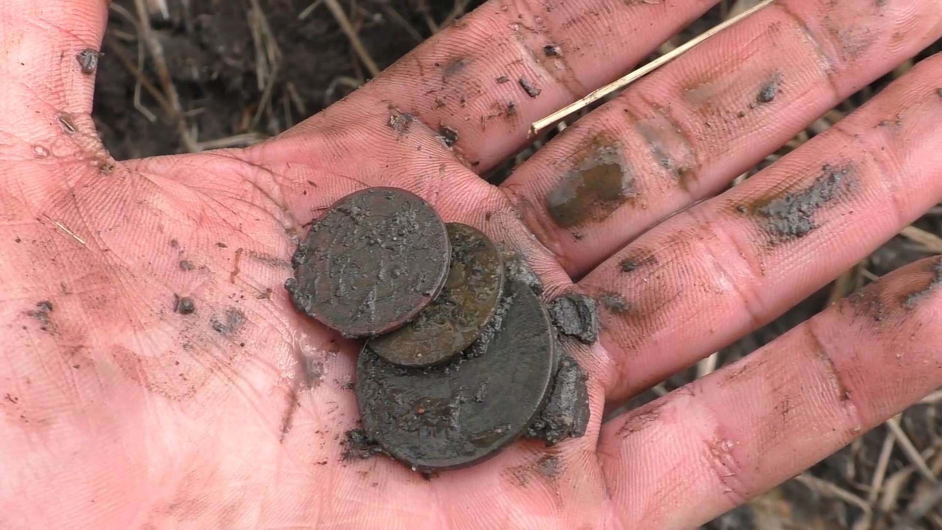 They unearthed an 18th century foundation near a stream! - My, Search, Find, Treasure, Treasure hunt, Adventures, Hobby, Video, Longpost