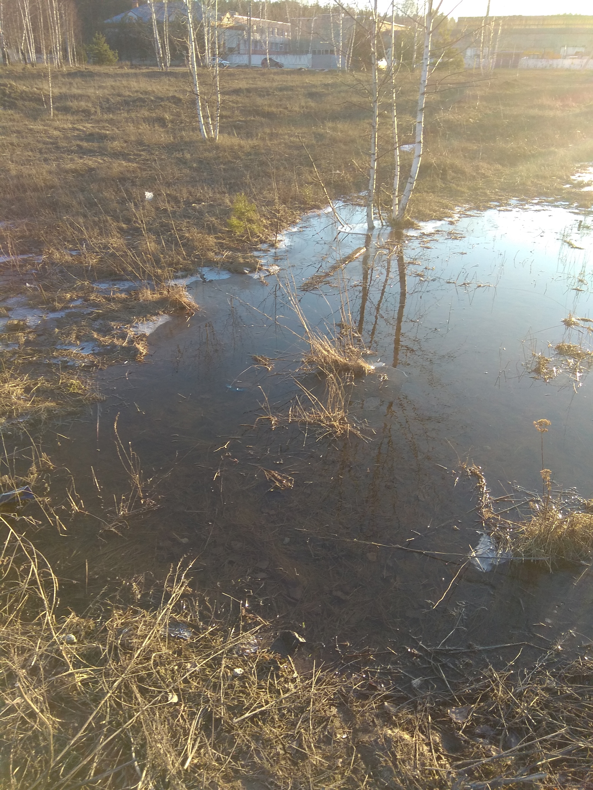 Childhood - My, Puddle, Ice