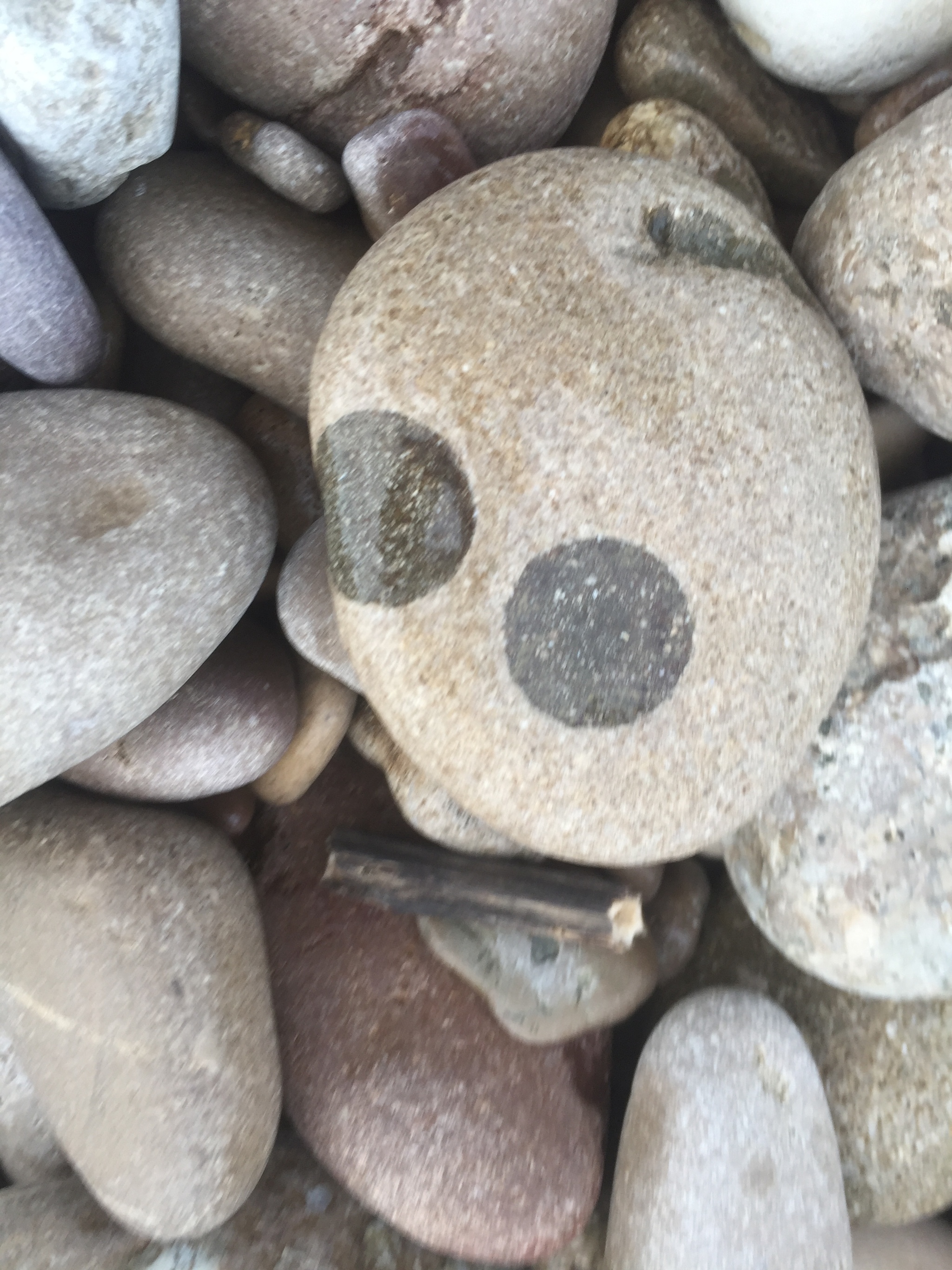 Pebbles - My, Shore, Black Sea, Walk, Longpost